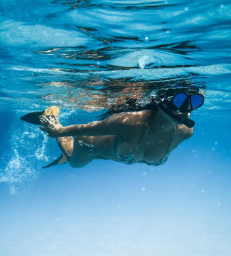 people snorkeling bone island divers