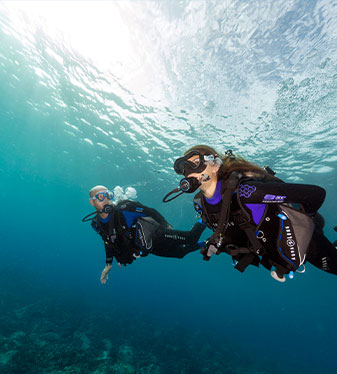 a man and a woman scuba divers underwater bone island divers