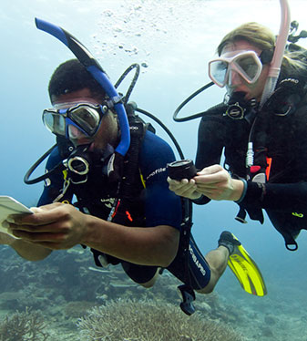 bone island divers underwater 1